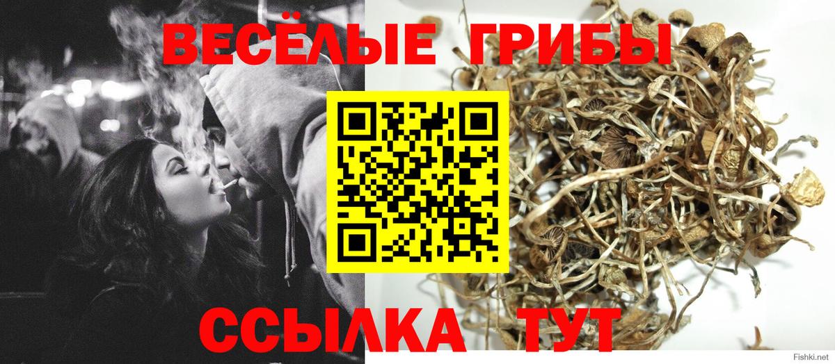 как найти закладки  Псилоцибиновые грибы прущие грибы  Вход с VPN  Псилоцибиновые грибы Magic Shrooms  Артём 